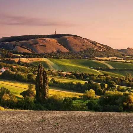 Sklipek Na Vetraku * Cejkovice (Hodonin)